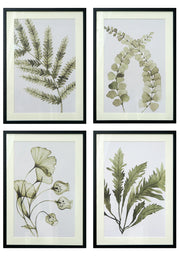 Botanical Serenity - Nature Wall Art (Set of 4)