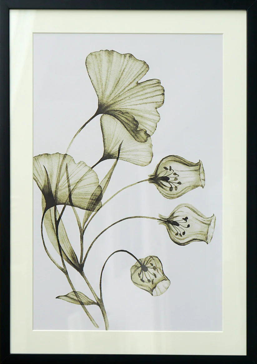 Botanical Serenity - Nature Wall Art (Set of 4)