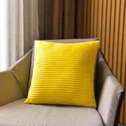 StripeAccent Cushion